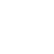 Bearbero